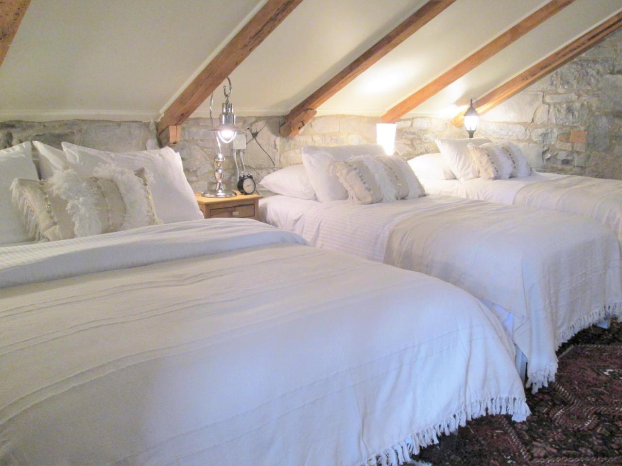 All Suites Whitney Manor Kingston Exteriér fotografie